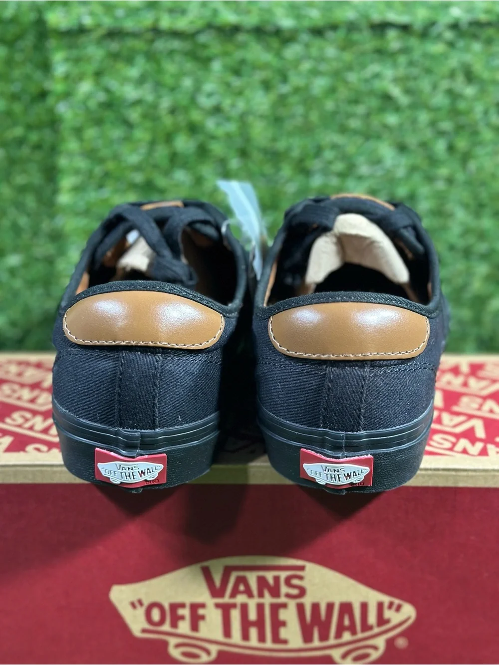 Vans classic low